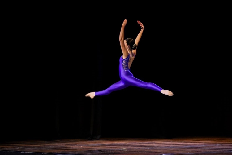 FRIENDLY CITY DANCE FESTIVAL 2025